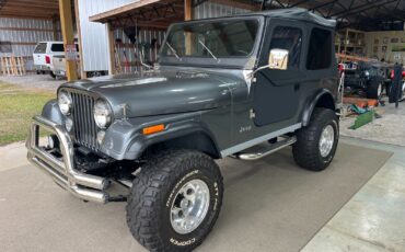 Jeep-CJ-1985-Gray-2569-7