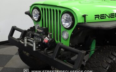 Jeep-CJ-1985-Green-Black-130589-18