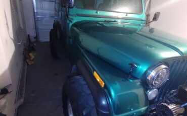 Jeep-CJ-1986-Green-122413-8