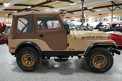 Jeep-CJ-5-1978-Tan-Tan-152123-3