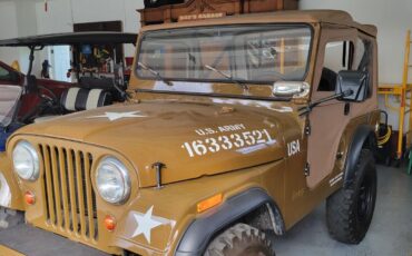 Jeep-CJ-Cabriolet-1969-Brown-Black-2-1