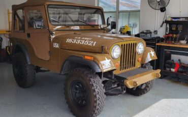 Jeep-CJ-Cabriolet-1969-Brown-Black-2-2