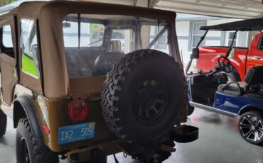 Jeep-CJ-Cabriolet-1969-Brown-Black-2-5