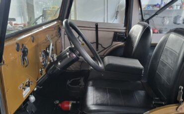 Jeep-CJ-Cabriolet-1969-Brown-Black-2-6