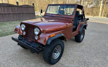 Jeep-CJ-Cabriolet-1976-Metallic-Copper-Gray-and-Black-123844-1