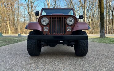 Jeep-CJ-Cabriolet-1976-Metallic-Copper-Gray-and-Black-123844-10