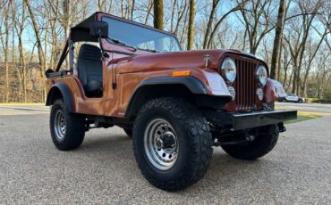 Jeep-CJ-Cabriolet-1976-Metallic-Copper-Gray-and-Black-123844-11