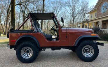 Jeep-CJ-Cabriolet-1976-Metallic-Copper-Gray-and-Black-123844-13