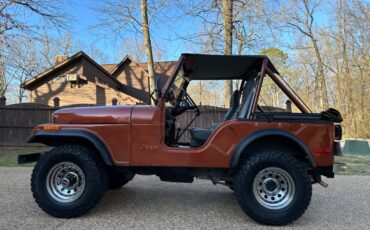 Jeep-CJ-Cabriolet-1976-Metallic-Copper-Gray-and-Black-123844-18