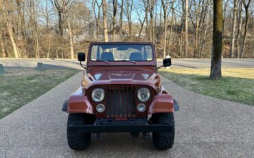 Jeep-CJ-Cabriolet-1976-Metallic-Copper-Gray-and-Black-123844-2