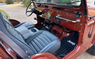 Jeep-CJ-Cabriolet-1976-Metallic-Copper-Gray-and-Black-123844-24