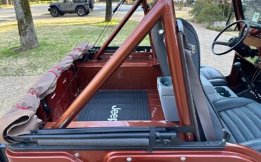 Jeep-CJ-Cabriolet-1976-Metallic-Copper-Gray-and-Black-123844-26