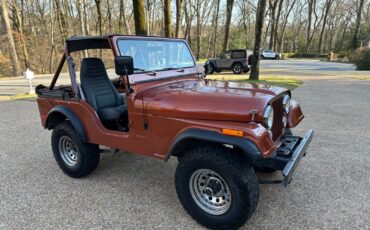 Jeep-CJ-Cabriolet-1976-Metallic-Copper-Gray-and-Black-123844-3