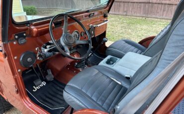 Jeep-CJ-Cabriolet-1976-Metallic-Copper-Gray-and-Black-123844-30