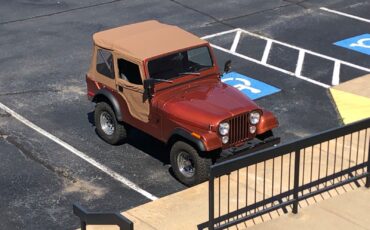 Jeep-CJ-Cabriolet-1976-Metallic-Copper-Gray-and-Black-123844-32