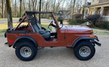 Jeep-CJ-Cabriolet-1976-Metallic-Copper-Gray-and-Black-123844-4