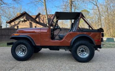 Jeep-CJ-Cabriolet-1976-Metallic-Copper-Gray-and-Black-123844-8