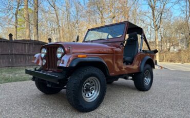 Jeep-CJ-Cabriolet-1976-Metallic-Copper-Gray-and-Black-123844-9