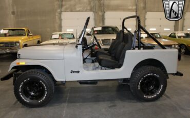 Jeep-CJ-Cabriolet-1978-Gray-Black-431-2