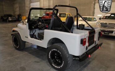 Jeep-CJ-Cabriolet-1978-Gray-Black-431-3