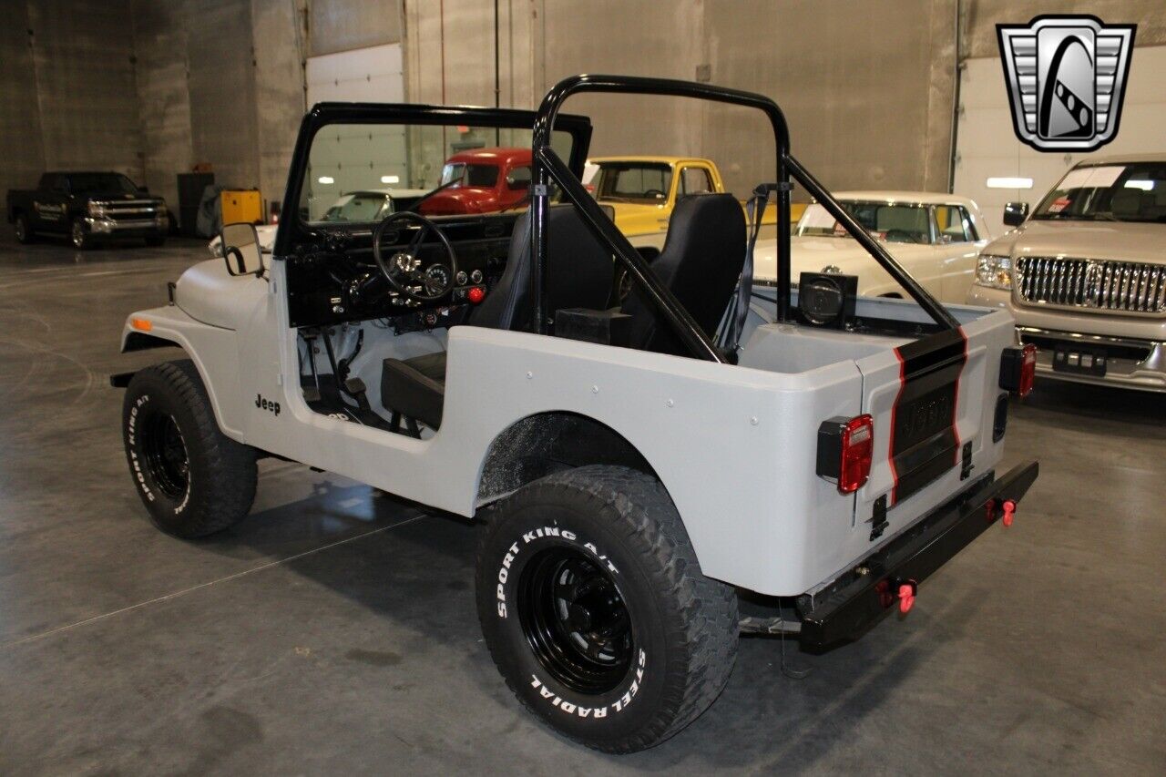 Jeep-CJ-Cabriolet-1978-Gray-Black-431-3