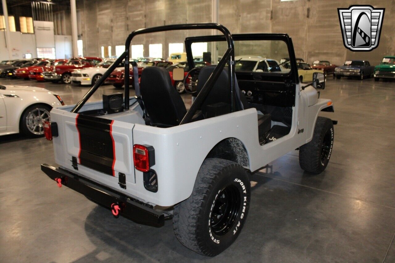 Jeep-CJ-Cabriolet-1978-Gray-Black-431-5