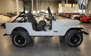 Jeep-CJ-Cabriolet-1978-Gray-Black-431-6