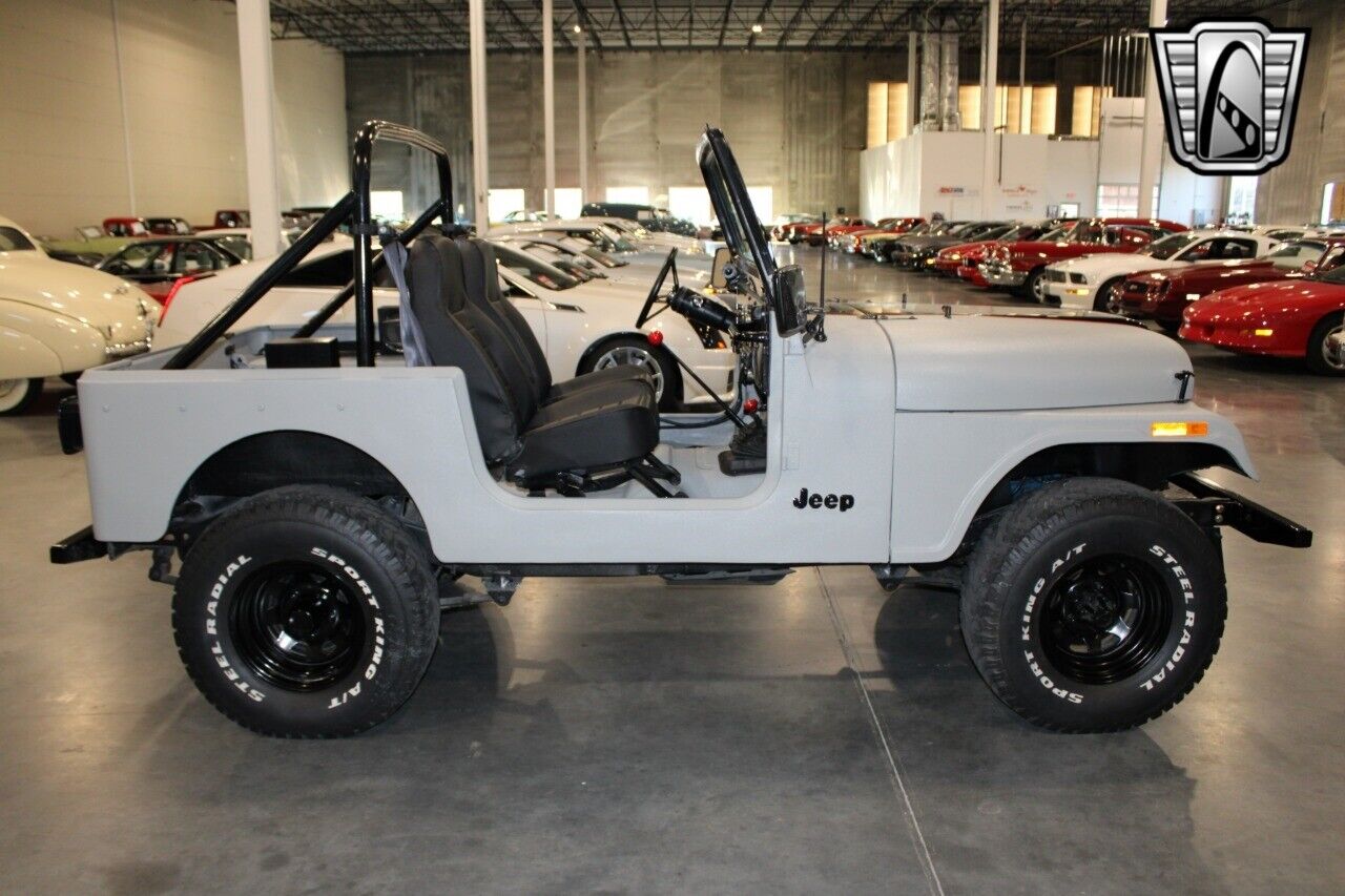 Jeep-CJ-Cabriolet-1978-Gray-Black-431-6