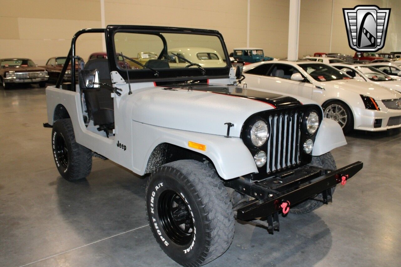 Jeep-CJ-Cabriolet-1978-Gray-Black-431-7