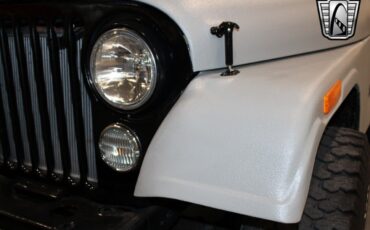 Jeep-CJ-Cabriolet-1978-Gray-Black-431-9