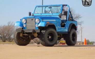 Jeep-CJ-Cabriolet-1979-Blue-Black-98986-2