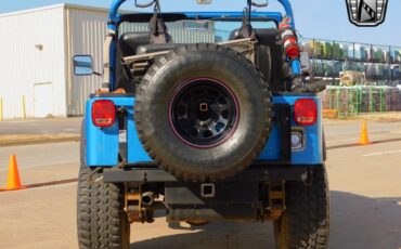 Jeep-CJ-Cabriolet-1979-Blue-Black-98986-5