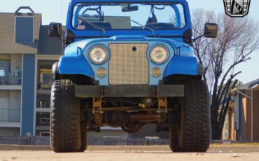 Jeep-CJ-Cabriolet-1979-Blue-Black-98986-8