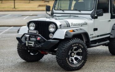 Jeep-CJ-SUV-1979-Silver-Gray-1788-14