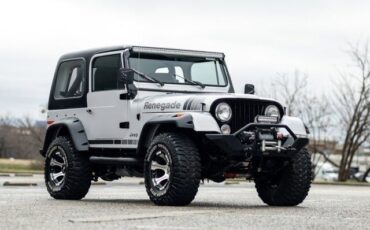 Jeep-CJ-SUV-1979-Silver-Gray-1788-3