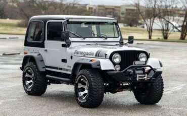 Jeep-CJ-SUV-1979-Silver-Gray-1788-4