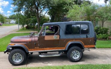 Jeep-CJ-SUV-1982-Brown-Brown-254276-2