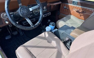 Jeep-CJ-SUV-1982-Brown-Brown-254276-9