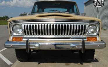 Jeep-Cherokee-Cabriolet-1977-Brown-Brown-154217-2