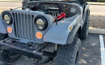 Jeep-Cj-5-1980-grey-198683-12