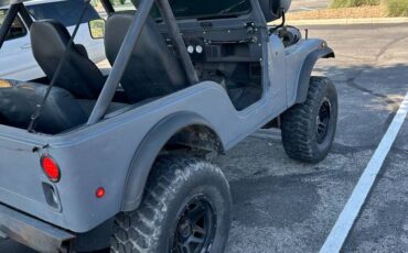 Jeep-Cj-5-1980-grey-198683-4