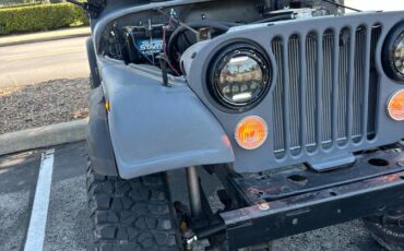 Jeep-Cj-5-1980-grey-198683-7