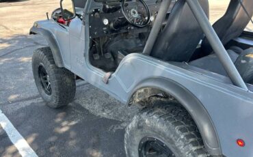 Jeep-Cj-5-1980-grey-198683-9