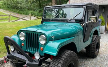 Jeep-Cj5-1969-green-160934-4