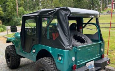 Jeep-Cj5-1969-green-160934-5