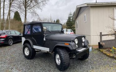 Jeep-Cj5-1973-33796