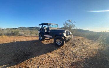 Jeep-Cj5-1973-33796-4