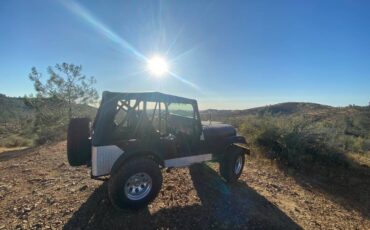 Jeep-Cj5-1973-33796-5