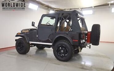 Jeep-Cj5-1976-Other-Other-43861-4