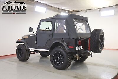 Jeep-Cj5-1976-Other-Other-43861-8